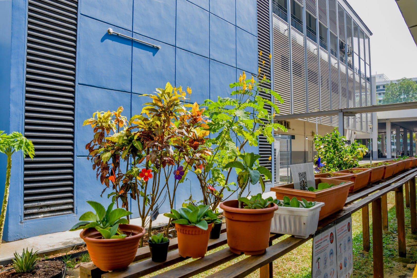 Science Garden